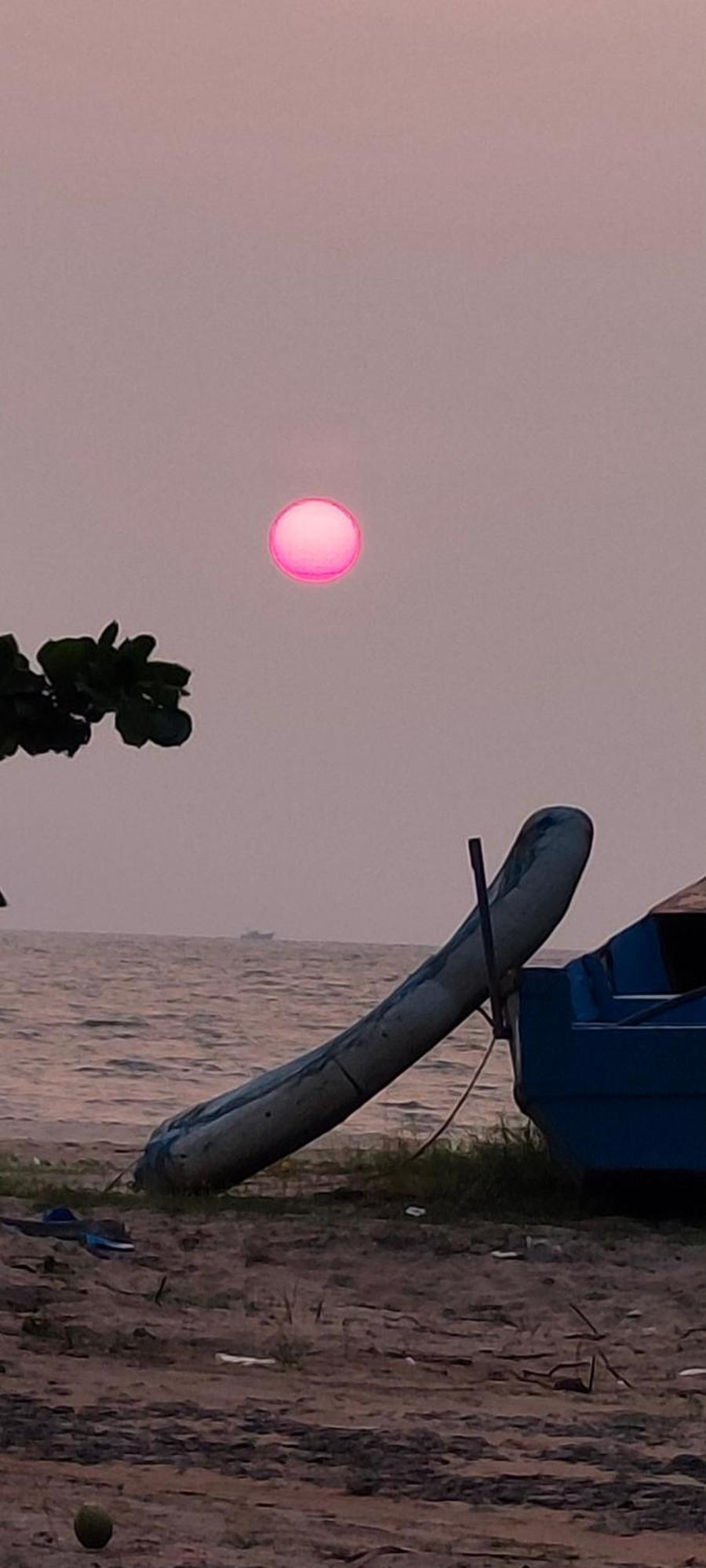 Marari Blue Whale Beach House Alappuzha Eksteriør billede