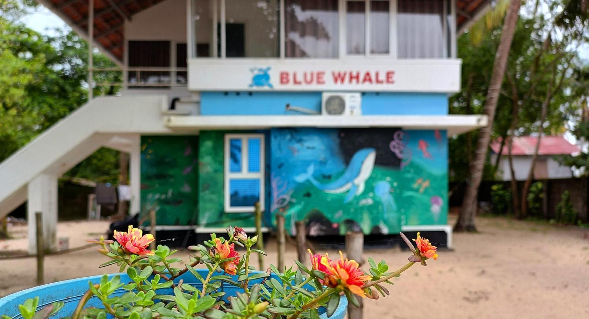 Marari Blue Whale Beach House Alappuzha Eksteriør billede