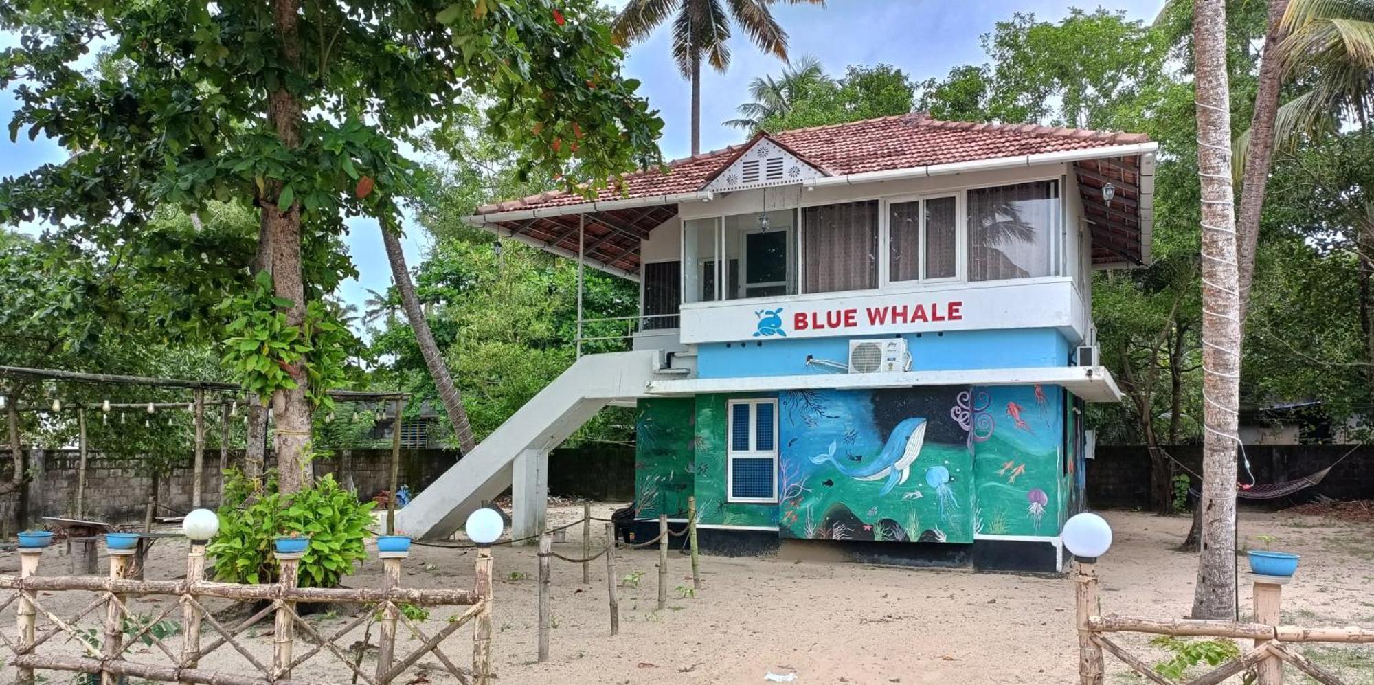 Marari Blue Whale Beach House Alappuzha Eksteriør billede