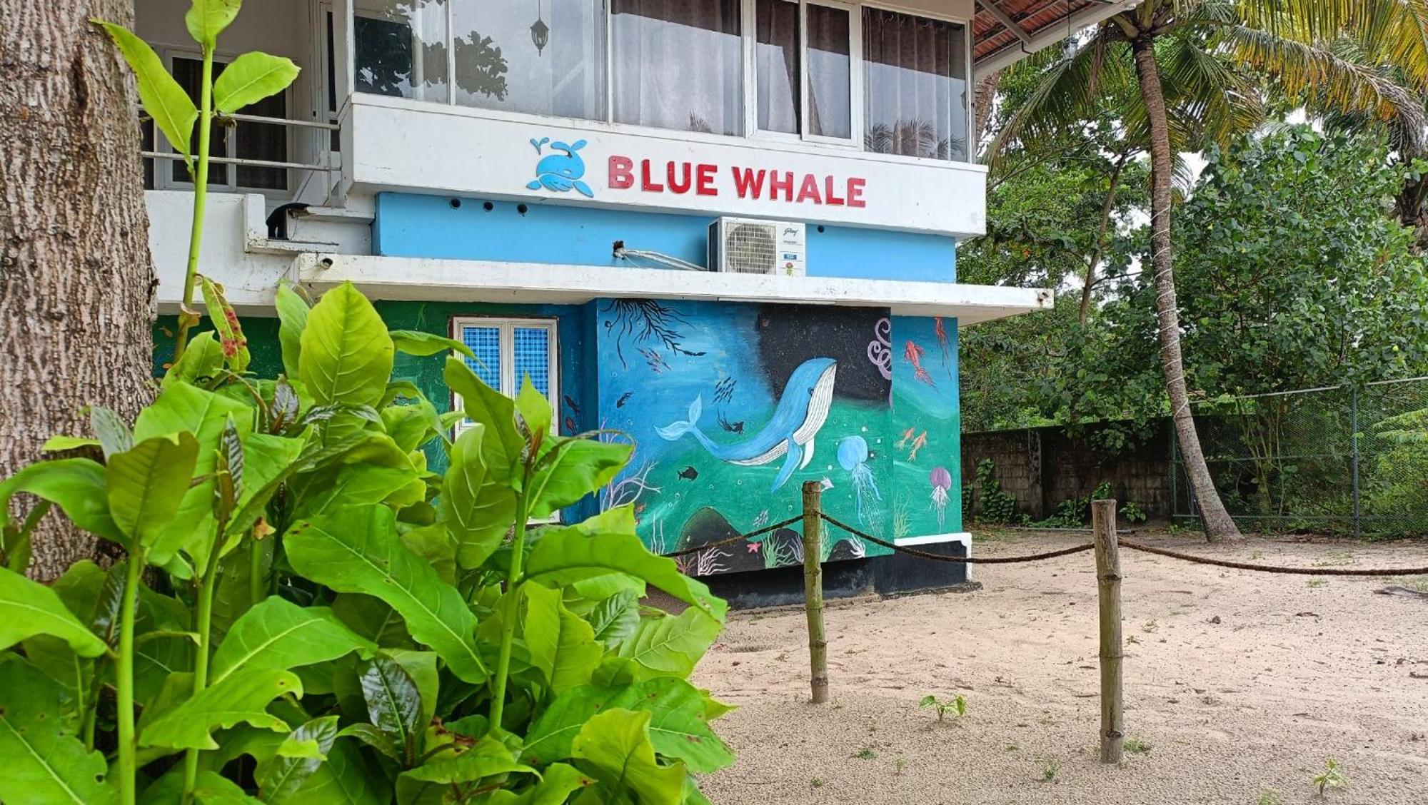Marari Blue Whale Beach House Alappuzha Eksteriør billede